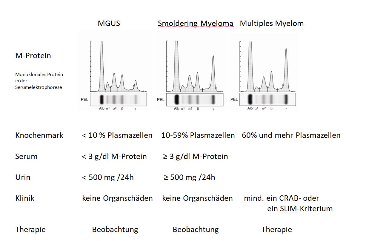 Abb 1